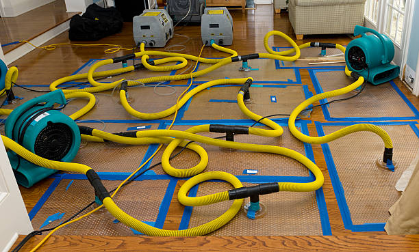 Professional Storm Water Damage Restoration technician working in Seabeck, WA